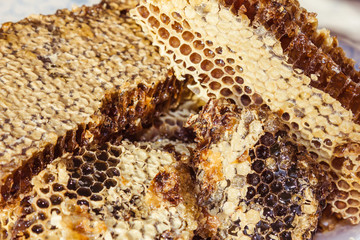 Bee honeycombs covered with wax.