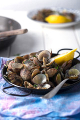 Prepared sea shells on a white table