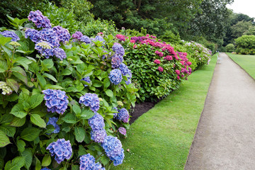 Obraz premium English garden in summer