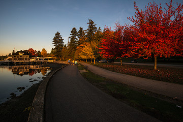 Fototapeta premium stanley park vancouver