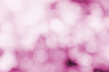 pink color abstract background withe blurred defocus bokeh light for template