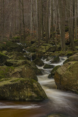 Cerny creek in Jizerske mountains in dark autumn day