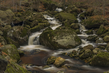 Cerny creek in Jizerske mountains in dark autumn day