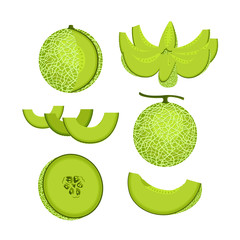 Green Melon Fruit Isolated Vector and Icon