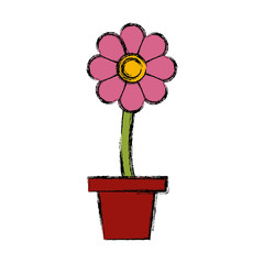 Flower in pot symbol icon vector illustration graphic design