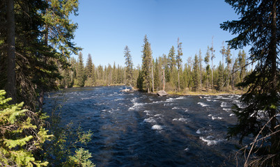 Bechler River in Yellowstone