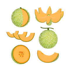 Orange Melon Fruit Isolated Vector and Icon - obrazy, fototapety, plakaty