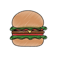burguer   vector illustration
