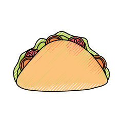 sandwich vector illustration