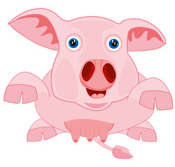 Drawing piglet on white background