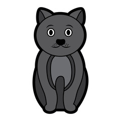 cat cartoon pet icon image vector illustration design 