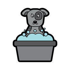 dog or puppy in tub  pet icon image vector illustration design 