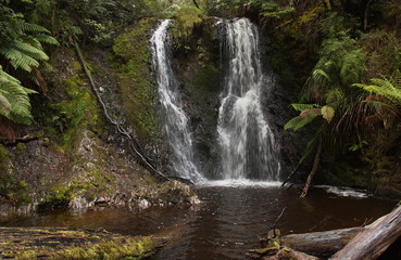 Fototapeta na wymiar Hogarth Falls in Tasmania 