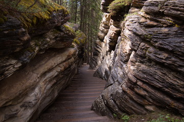 Hiking trail at Athabasca Falls in Jasper National Park

