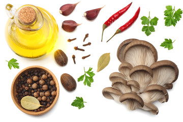 Oyster mushrooms, parsley, garlic, oil and spices isolated on white background. top view