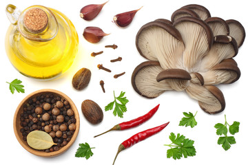 Oyster mushrooms, parsley, garlic, oil and spices isolated on white background. top view