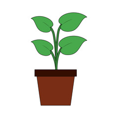 Plant in pot icon vector illustration graphic design