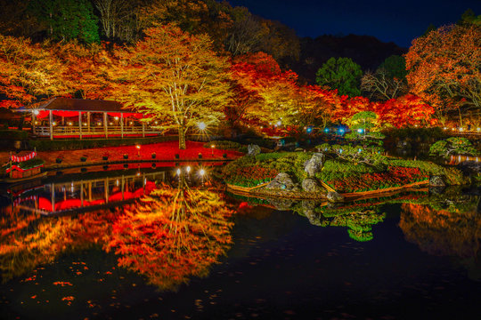 日本庭園 Images – Browse 85,815 Stock Photos, Vectors, and Video