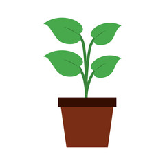 Fototapeta na wymiar Plant in pot icon vector illustration graphic design
