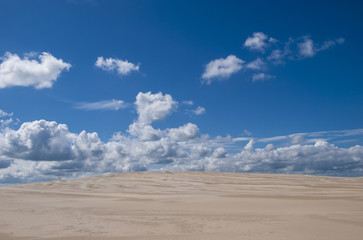Under the desert sky