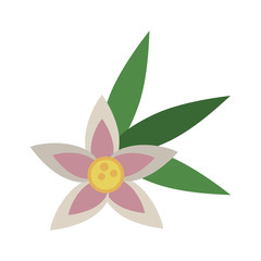 Beautiful flower isolated icon vector illustration graphic design