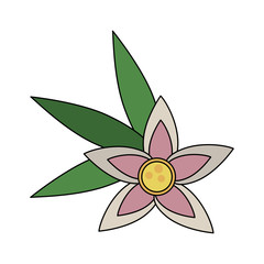 Spa oil in bowl icon vector illustration graphic design