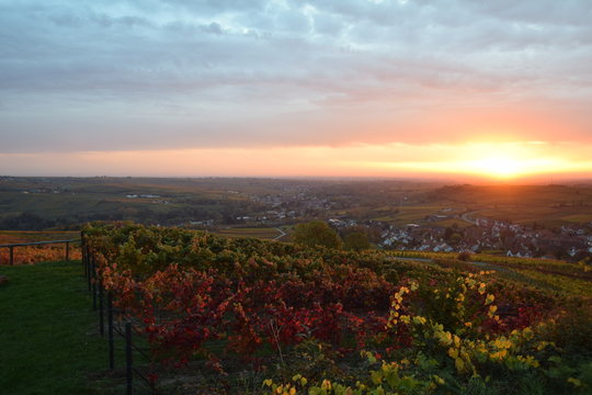 Birkweiler Pfalz