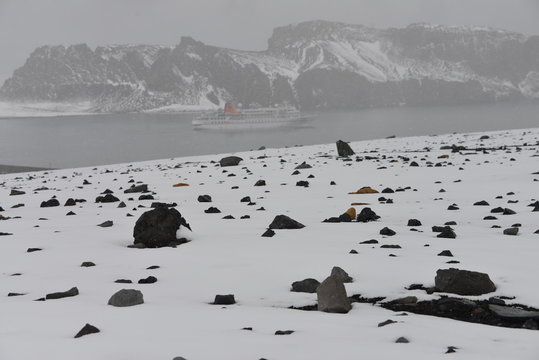 Antarctica, scenery - misty