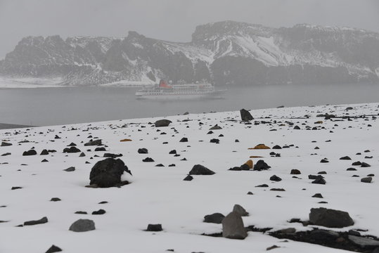 Antarctica, scenery - ship in distance