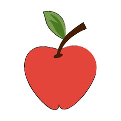 Apple delicious fruit icon vector illustration graphic design