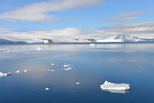 Antarctica ice floating