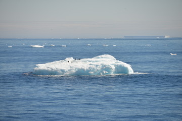 Ice shelf, Antarctica © vormenmedia