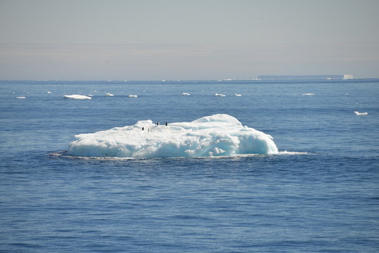 Ice shelf, Antarctica