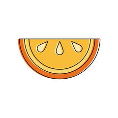 Orange sliced fruit icon vector illustration graphic design