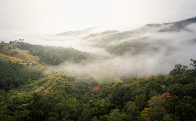 Mountain and morning mist from drone