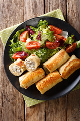 crepes rolls with chicken, cheese and mushrooms close-up and salad of fresh vegetables. Vertical top view