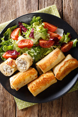 crepes rolls with chicken, cheese and mushrooms close-up and vegetable salad. Vertical top view