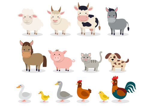 Farm animals set in flat style isolated on white background. Vector illustration. Cute cartoon animals collection: sheep, goat, cow, donkey, horse, pig, cat, dog, duck, goose, chicken, hen, rooster