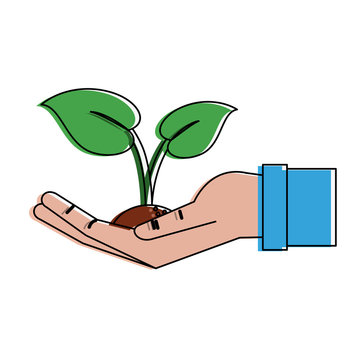 Hand with plant icon vector illustration graphic design