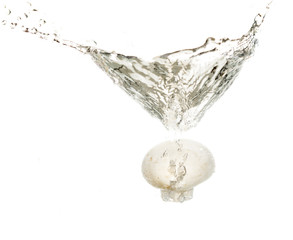 mushrooms champignons in water isolated on white background