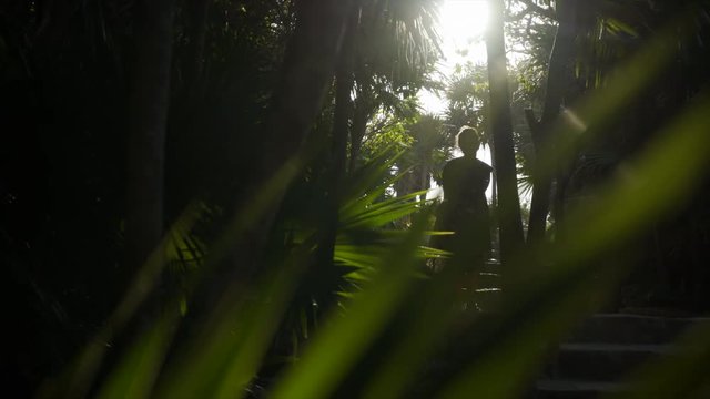 yucatan tropical coast, figure of young women  walking in sun light up stairs in jungle, motion panoram view through big green leaf
