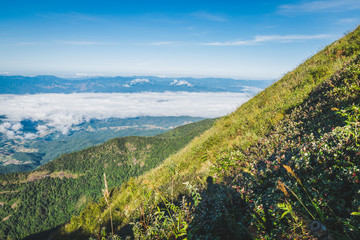 Fototapeta premium Kiew Mae Pan Nature Study at Doi Inthanon
