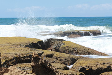 Australian beach and coast