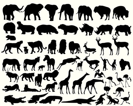 Collection of different animals on a white background