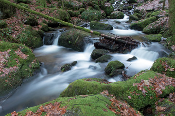 Fototapeta na wymiar Gertelbach-Wasserfälle