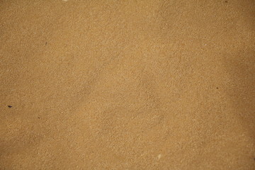 Fototapeta na wymiar Sand in the Pinnacles Desert, Western Australia