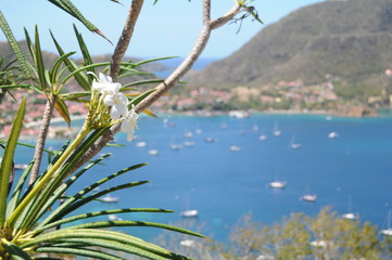 Les Saintes