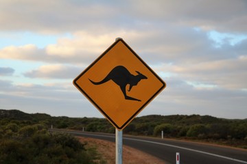 Attention Kangaroo Traffic Sign in Australia 