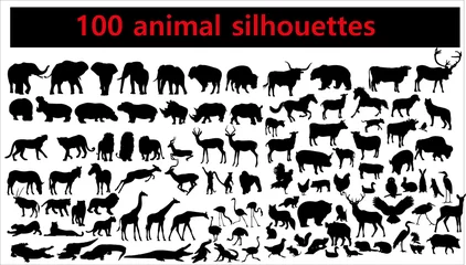 Foto op Plexiglas Collection of animal silhouettes on white background © daudau992