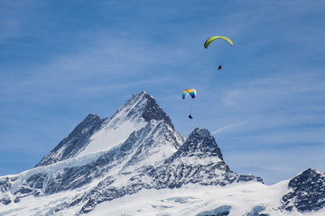 Gleitschirmflieger am Schreckhorn